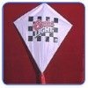 Wholesale diamond kite