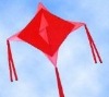Wholesale diamond kite