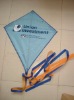 Wholesale diamond kite