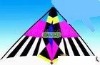 Wholesale six colours chinese delta kite