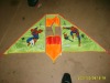 Wholesale 3D promotional delta kite for sport