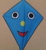 Wholesale diamond kite
