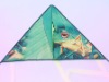Wholesale green colour kite with beautiful printing