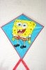 Wholesale diamond kite