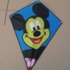 Wholesale diamond kite