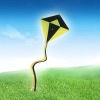 Wholesale diamond kite
