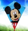 Wholesale diamond kite