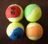 Wholesale pet tennis ball