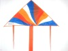 Wholesale Promotion Delta Kite