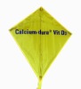 Wholesale Diamond Kite/Promotional Kite