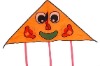 Wholesale promotional delta kite