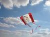 Wholesale pocket kite