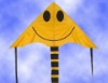 Wholesale promotional delta kite