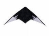 Wholesale fy-s-09 sport kite