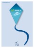 Wholesale kite