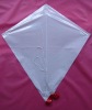 Wholesale DIY kite