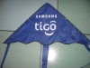 Wholesale Promotional Kite