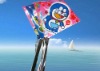Wholesale Cartoon Kite