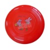 Plastic Frisbee