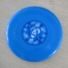 Plastic Frisbee