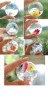 Wholesale bouncing glitter ball