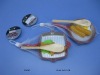 Wholesale Children kitchen toys set