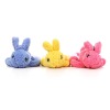 Wholesale Dog Toy