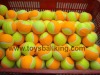Wholesale tennis ball dog toys,2.5'' tennis ball pet toy