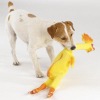 Wholesale Zanies Rubber Chicken Dog Toy