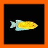 Wholesale F1H1-020 pet toys