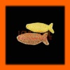 Wholesale F1H1-011 healthy pet toys