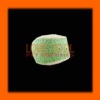 Wholesale F1H1-001 loofah toys