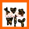 Wholesale 07A1-004 new pet product
