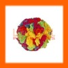Wholesale O6Z1-012 hot pet l toys