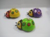 Wholesale Wind up ladybug toy