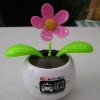 Wholesale Sunflower flip flap