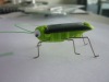 Wholesale solar bug
