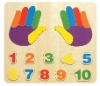 Finger-Number Puzzle
