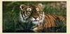 Wholesale wood puzzle
