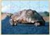 Wholesale wood puzzle