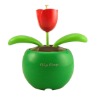 Wholesale solar tulip