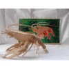 3D wooden jigsaw puzzles