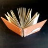 Wholesale Address notebook