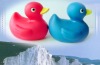 Wholesale bath toy- gift rubber duck