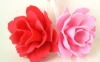 Wholesale ZD-PB1150935 pva bath sponge