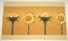Wholesale floor pad