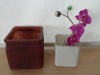Wholesale glass vases