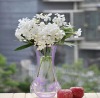 Wholesale 2011 PVC Colorful Transparent Foldable Plastic Flower Vase for Promotion
