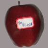 Wholesale artificial fruit