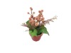Wholesale mini artificial plant in the pot
